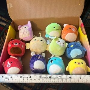 11 mini squishmallows